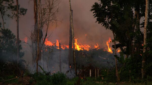 Queimada de grande proporção é vista em ramal da BR-230, na cidade de Lábrea (AM). Lábrea é uma das cidades do Amazonas em estado da emergência, devido às queimadas e desmatamentos, 4 de setembro de 2019 - Sputnik Brasil