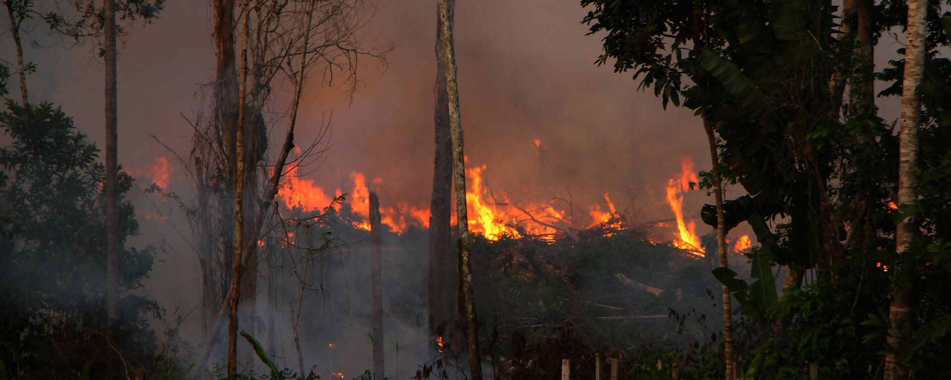 Queimada de grande proporção é vista em ramal da BR-230, na cidade de Lábrea (AM). Lábrea é uma das cidades do Amazonas em estado da emergência, devido às queimadas e desmatamentos, 4 de setembro de 2019 - Sputnik Brasil, 1920, 20.09.2024