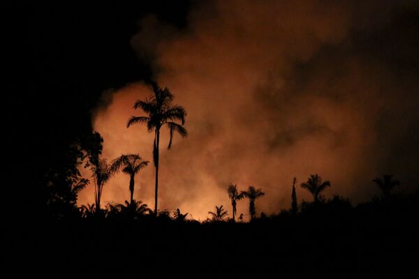 Incêndios florestais tomam conta da Amazônia neste mês, 3 de setembro de 2021  - Sputnik Brasil