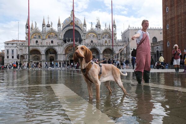 Jovem mulher posa com seu cachorro para fotografia na Praça de São Marcos inundada, em Veneza, na Itália, em 5 de outubro de 2021. - Sputnik Brasil