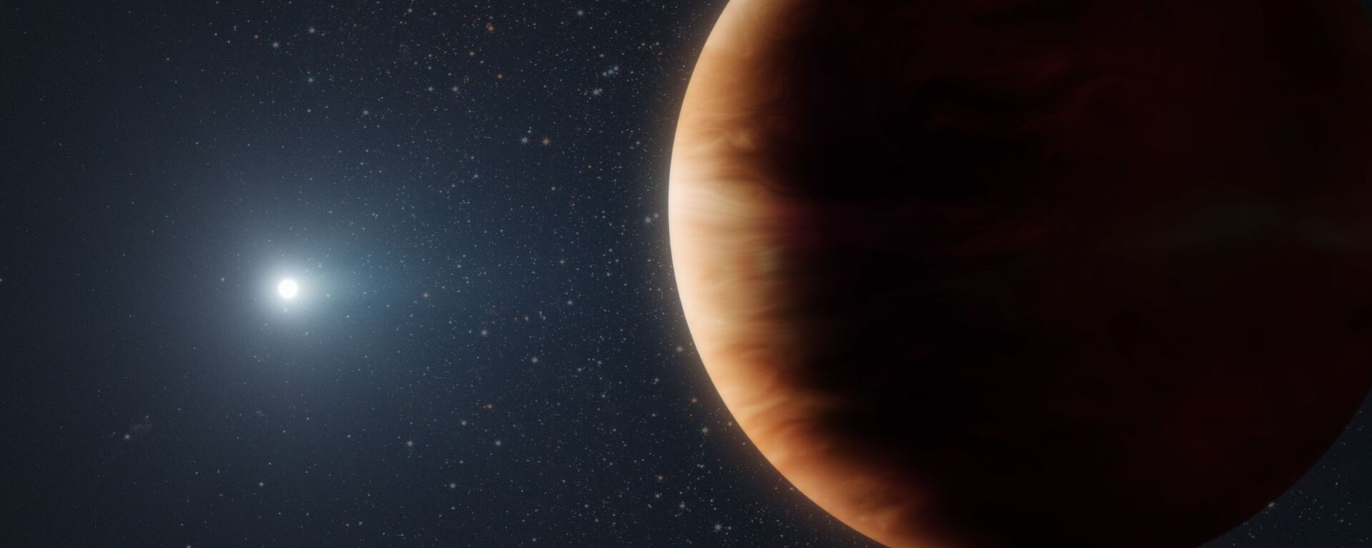 Sistema planetário formado por uma anã branca e um planeta gasoso - Sputnik Brasil, 1920, 27.09.2025