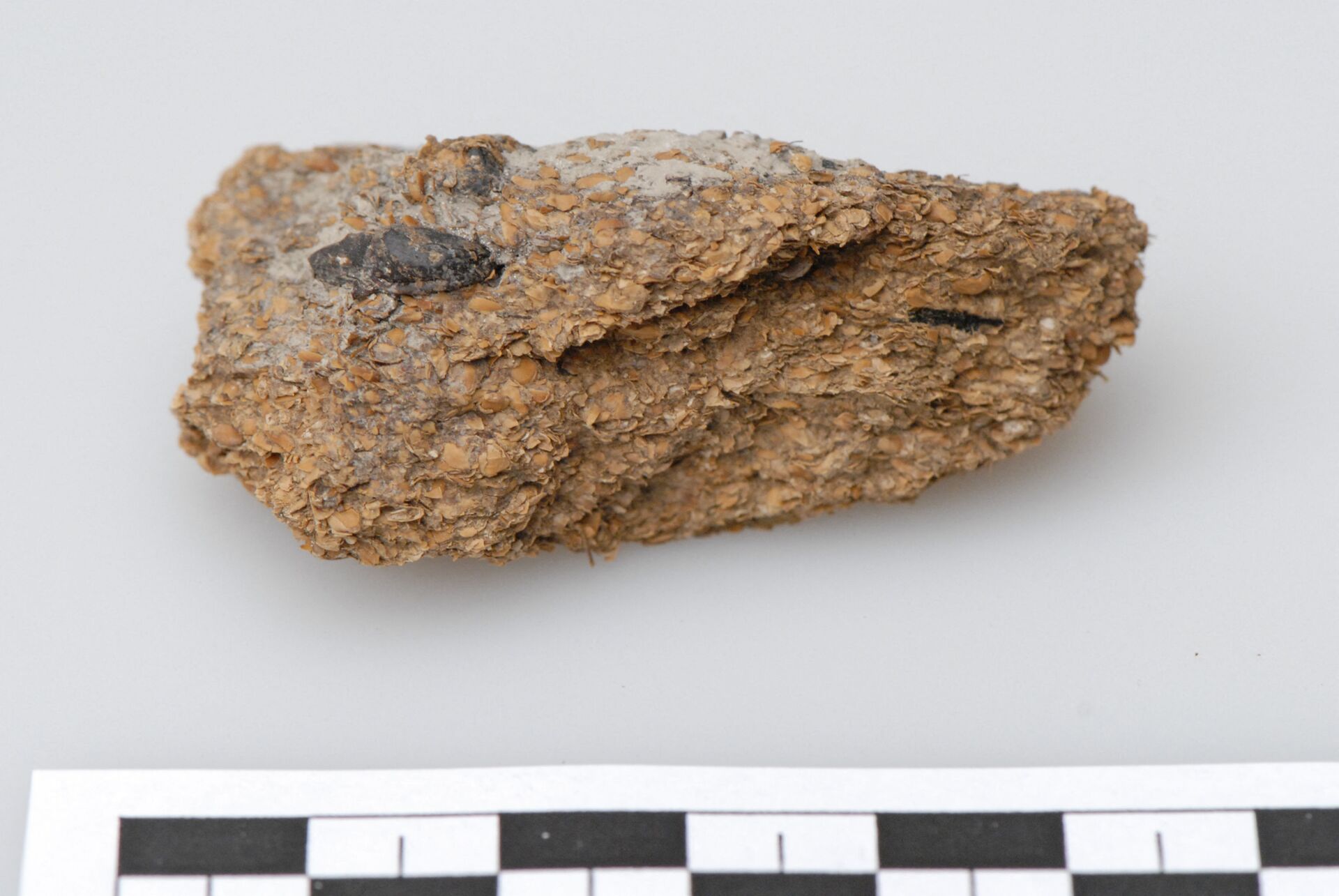 Fezes humanas de 2.700 anos da mina de sal de Hallstatt na Áustria onde, além do mais, foram descobertos feijões, painço e cevada - Sputnik Brasil, 1920, 09.11.2021