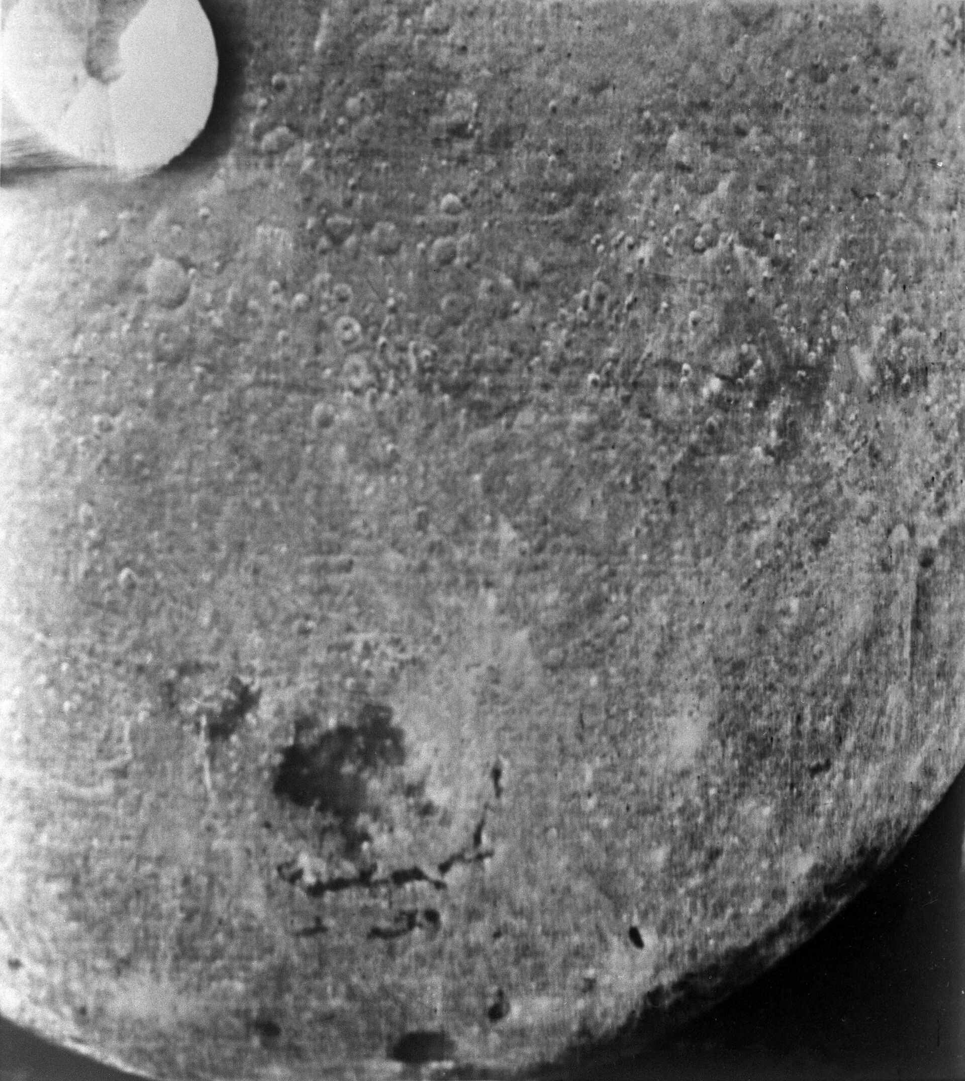 Imagem do lado oculto da da Lua tirada pela estação espacial interplanetária soviética Zond 3 - Sputnik Brasil, 1920, 09.11.2021