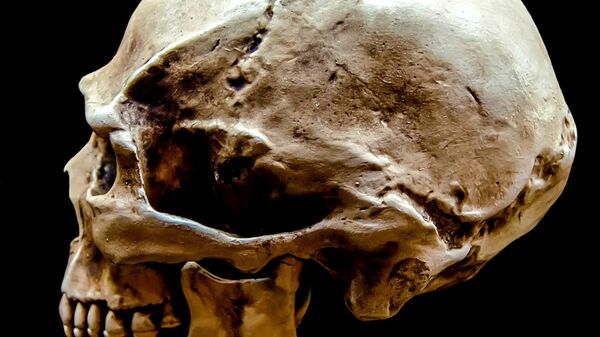 Crânio humano (imagem referencial) - Sputnik Brasil