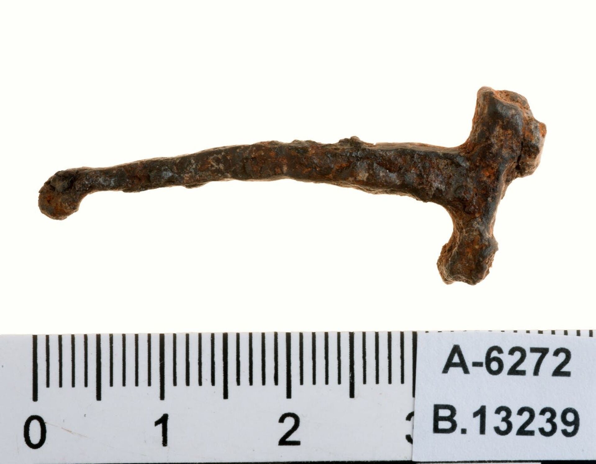 Restos de prego utilizado nas ferraduras dos cavalos dos cruzados durante sua ocupação de Israel, no século XII - Sputnik Brasil, 1920, 09.11.2021
