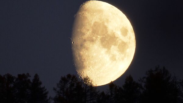 Lua sobre a taiga na república siberiana de Khakássia, Rússia  - Sputnik Brasil