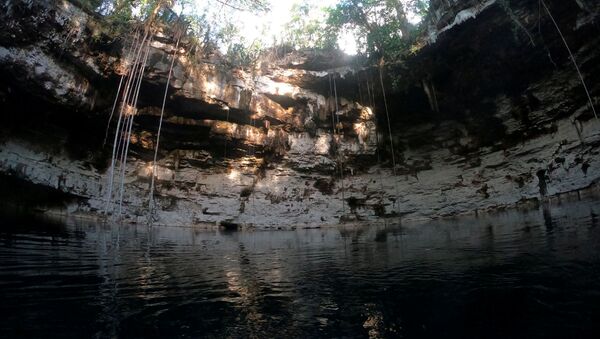 A view of a freshwater pool known as a cenote, where a wooden canoe used by the ancient Maya and believed to be over a thousand years old was found during the archeological work accompanying the construction of a controversial new tourist train, in the state of Yucatan, in this handout released on October 29, 2021. - Sputnik Brasil
