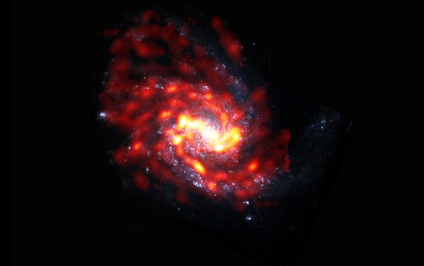 Galáxia espiral relativamente comum NGC 4254 no aglomerado de Virgem que produz ativamente novas estrelas. - Sputnik Brasil