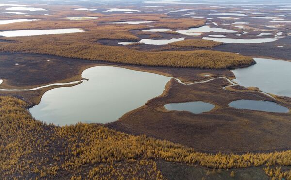 Vista da floresta e tundra na república da Yakútia, Rússia, 13 de setembro de 2021. - Sputnik Brasil