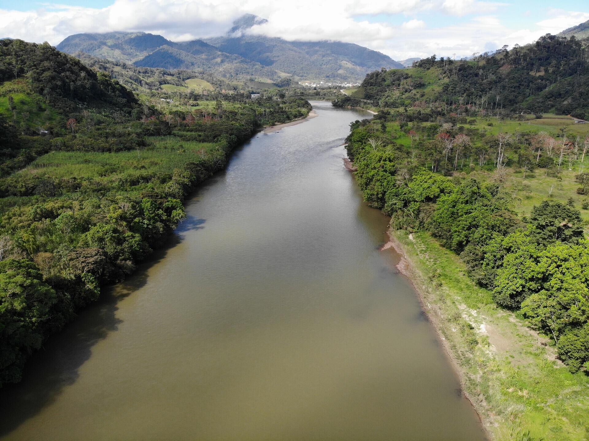 Amazônia (imagem de referência) - Sputnik Brasil, 1920, 12.07.2022