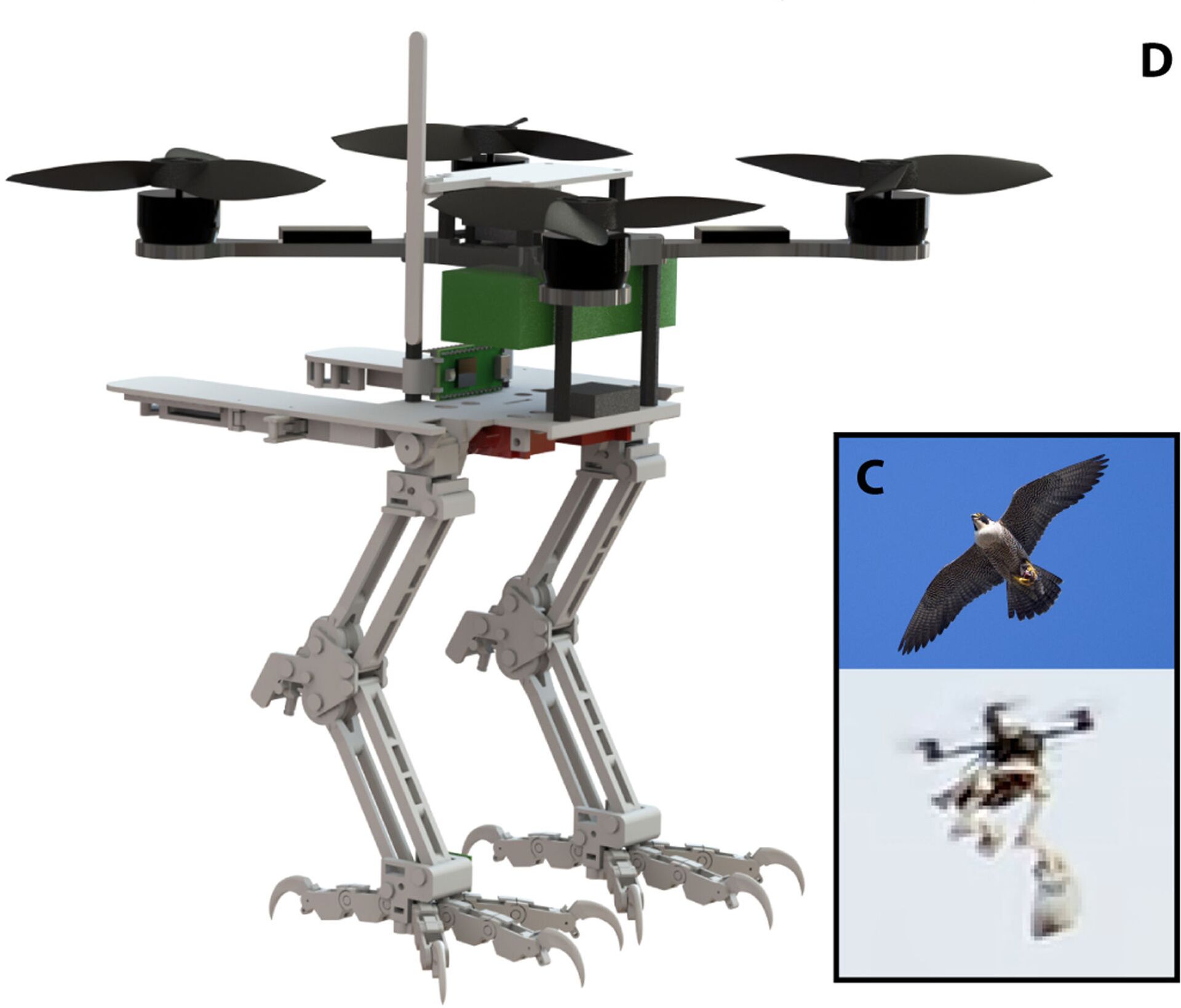 Drone inspirado em falcão-peregrino - Sputnik Brasil, 1920, 03.12.2021