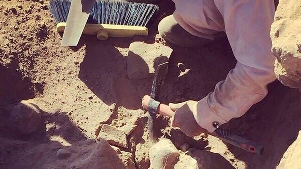 Escavações na antiga cidade de Shahr-i Sokhta, Irã - Sputnik Brasil