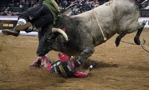 Cavaleiro (Silvano Alves, do Brasil) é jogado no chão pelo touro durante o evento The Beast Monster Energy Buckoff em Nova York, EUA. - Sputnik Brasil