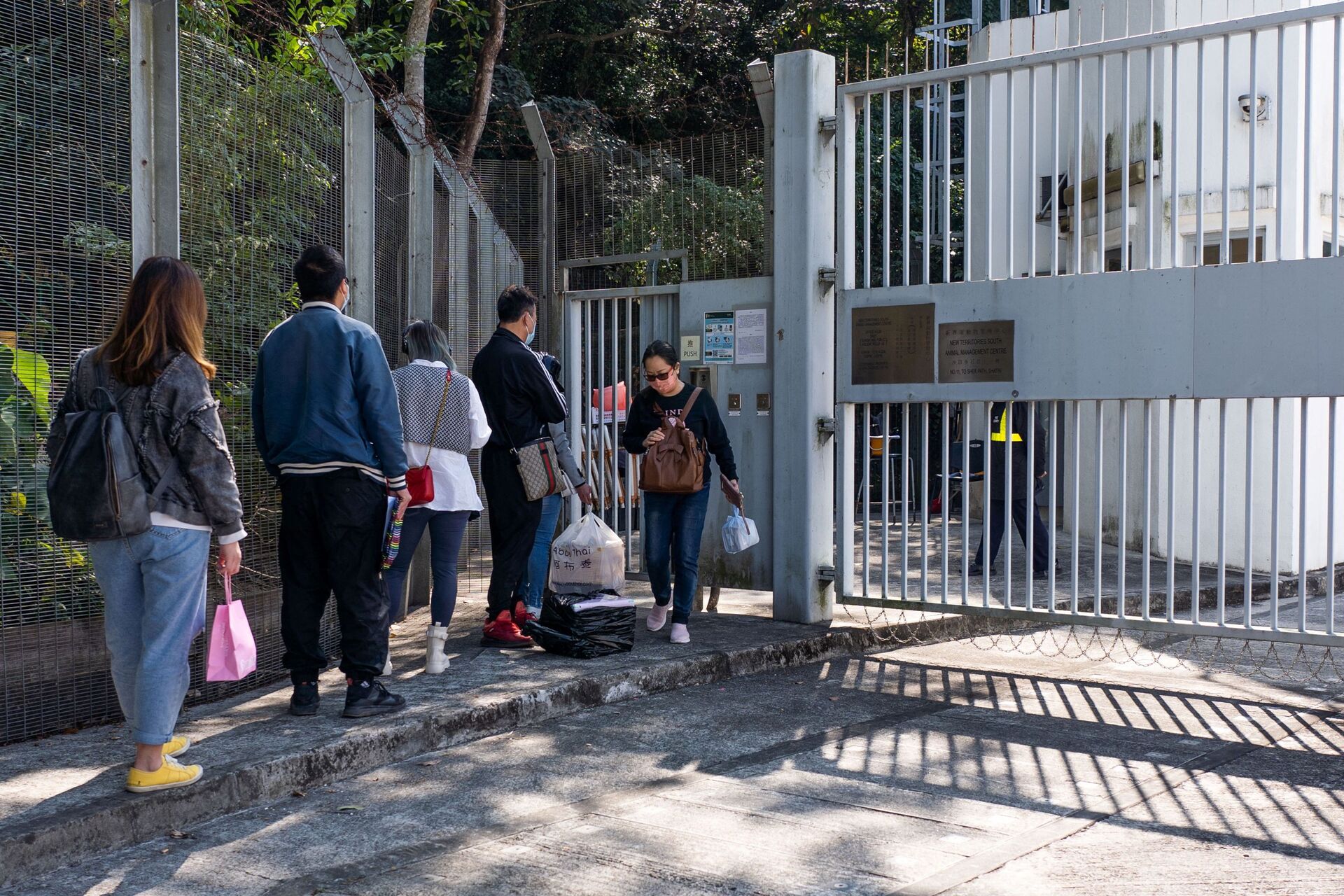 Moradores fazem fila para entregar hamsters em Hong Kong - Sputnik Brasil, 1920, 19.01.2022