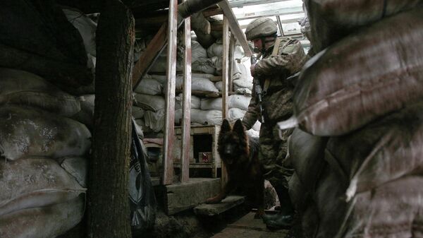 Efetivo das Forças Militares da Ucrânia e seu cachorro na frente de guerra com separatistas regionais da aldeia de Zolote, região de Lukhansk, 21 de janeiro de 2022 - Sputnik Brasil