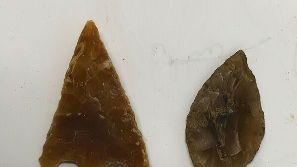 Pontas de flechas de sílex descobertas durante escavações perto de Tempsford remontam ao Neolítico e à Idade do Bronze 
 - Sputnik Brasil