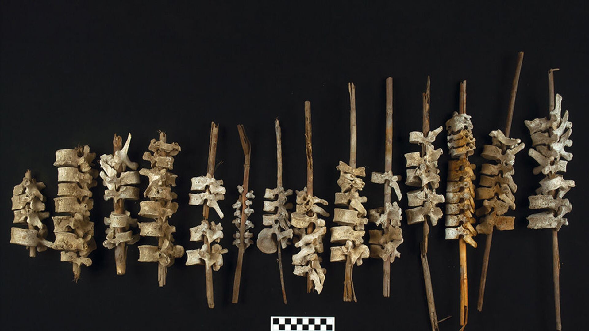 Uma amostra dos 192 conjuntos de vértebras humanas encontradas no Peru - Sputnik Brasil, 1920, 02.02.2022