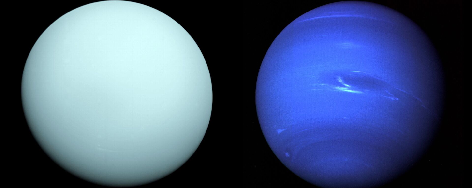 Chegando a Urano (à esquerda) em 1986, a Voyager 2 observou um orbe azulado com características sutis. Uma camada de neblina escondeu a maioria das características das nuvens do planeta. A imagem de Netuno (à direita) produzida pela Voyager 2 mostra a Grande Mancha Escura acompanhada pela mancha brilhante Chegando a Urano (à esquerda) em 1986, a Voyager 2 observou um orbe azulado com características sutis. Uma camada de neblina escondeu a maioria das características das nuvens do planeta. A imagem de Netuno (à direita) produzida pela Voyager 2 mostra a Grande Mancha Escura acompanhada pela mancha brilhante - Sputnik Brasil, 1920, 02.02.2022