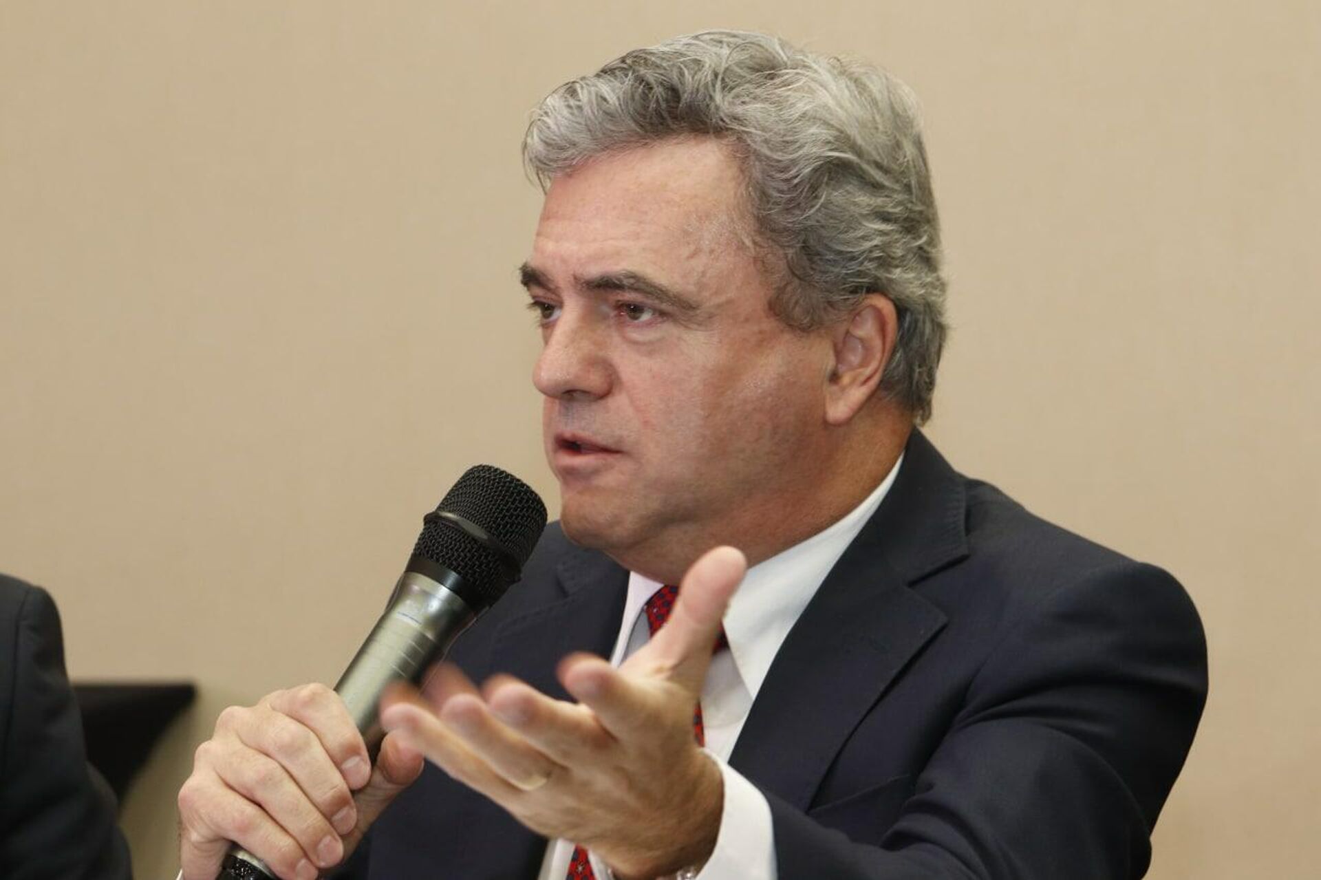 Ricardo Santin, presidente da Associação Brasileira de Proteína Animal (ABPA) - Sputnik Brasil, 1920, 16.02.2022