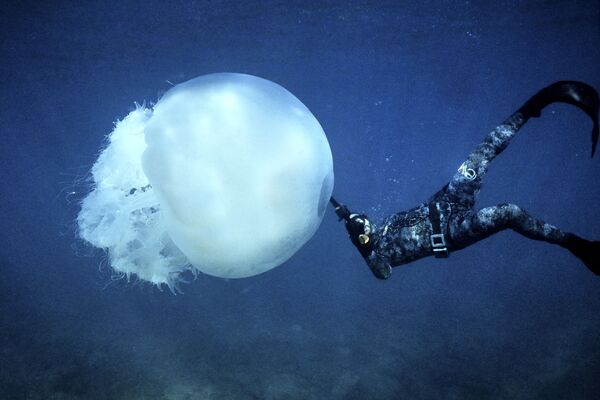 Mergulhador livre nada perto de grande água-viva na costa da cidade de Batroun, Líbano, 13 de fevereiro de 2022 - Sputnik Brasil