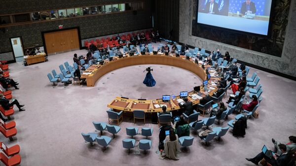 Reunião do Conselho de Segurança das Nações Unidas (CSNU), 28 de fevereiro de 2022 - Sputnik Brasil