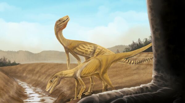 Precursores dos dinossauros em uma paisagem do Triássico Médio do Rio Grande do Sul - Sputnik Brasil