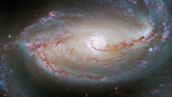 O Telescópio Espacial Hubble registrou uma foto da NGC 1097, uma galáxia espiral barrada, localizada a 48 milhões de anos-luz da Terra - Sputnik Brasil