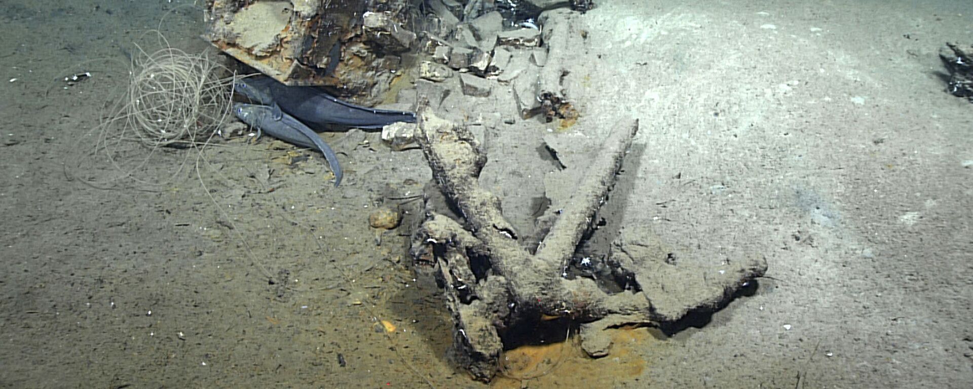 Imagem tirada em fevereiro de 2022 mostra o que pesquisadores acreditam ser restos do único naufrágio conhecido de um navio baleeiro no golfo do México - Sputnik Brasil, 1920, 25.03.2022