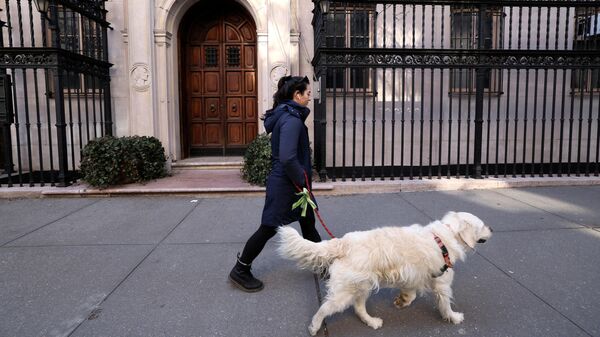 Mulher passeia com cão em Nova York, EUA, 2 de março de 2022 - Sputnik Brasil