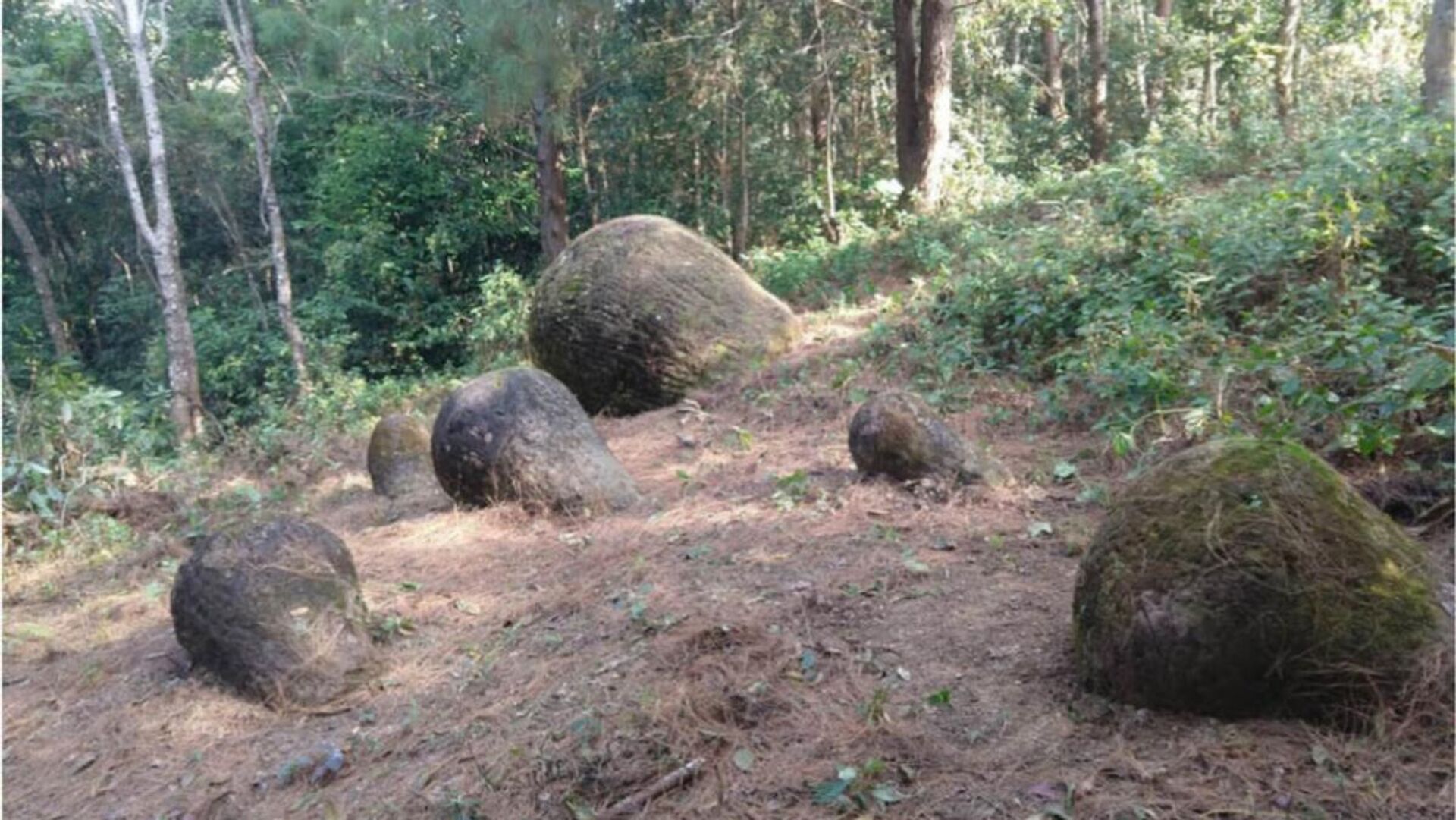Jarros de pedra encontrados em floresta no estado de Assam, na Índia - Sputnik Brasil, 1920, 31.03.2022