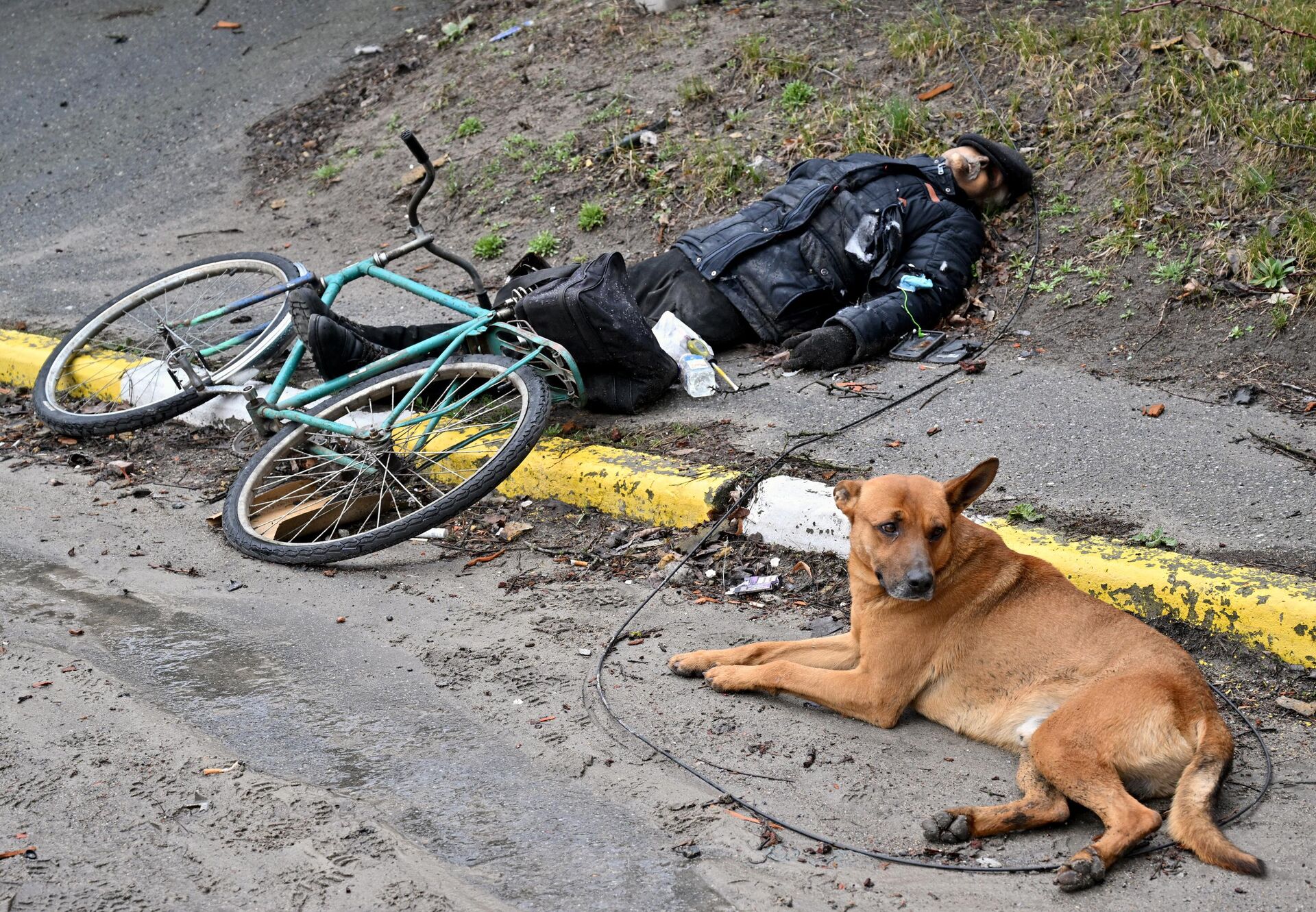 Cachorro ao lado de um corpo de homem em uma rua da cidade de Bucha, na Ucrânia, 3 de abril de 2022 - Sputnik Brasil, 1920, 27.04.2022