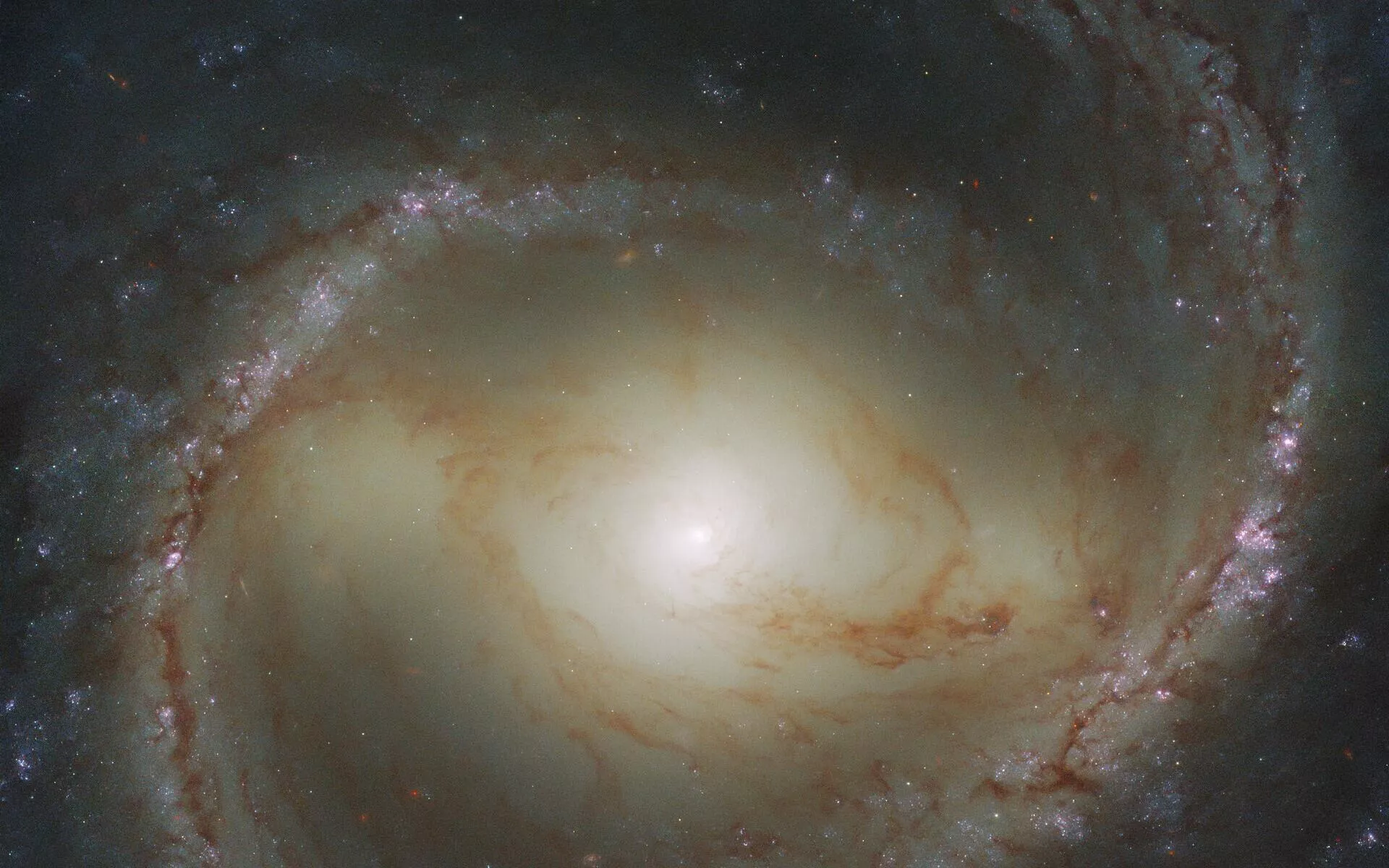 O Telescópio Espacial Hubble flagrou uma galáxia espiral barrada, conhecida como M91, localizada a aproximadamente 55 milhões de anos-luz da Terra, na constelação de Cabeleira de Berenice O Telescópio Espacial Hubble flagrou uma galáxia espiral barrada, conhecida como M91, localizada a aproximadamente 55 milhões de anos-luz da Terra, na constelação de Cabeleira de Berenice - Sputnik Brasil, 1920, 11.04.2022