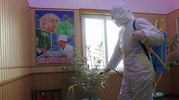 Nesta foto de arquivo de 5 de fevereiro de 2021, um funcionário do Centro de Higiene e Antiepidemia no distrito de Phyongchon desinfeta o corredor de um prédio em Pyongyang, na Coreia do Norte - Sputnik Brasil