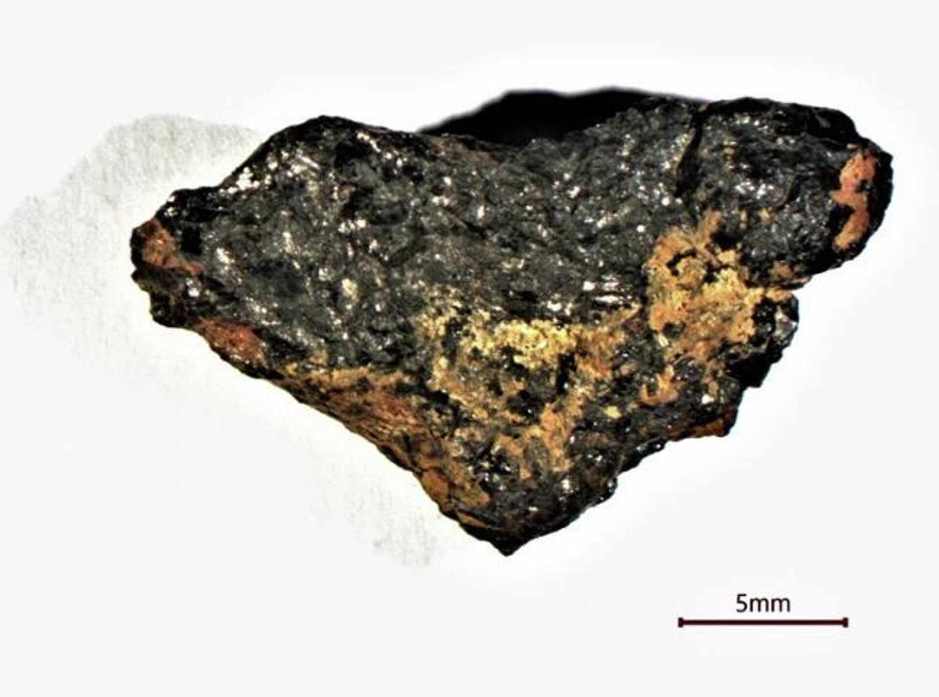 Uma amostra de 3 gramas da pedra Hypatia - Sputnik Brasil, 1920, 18.05.2022