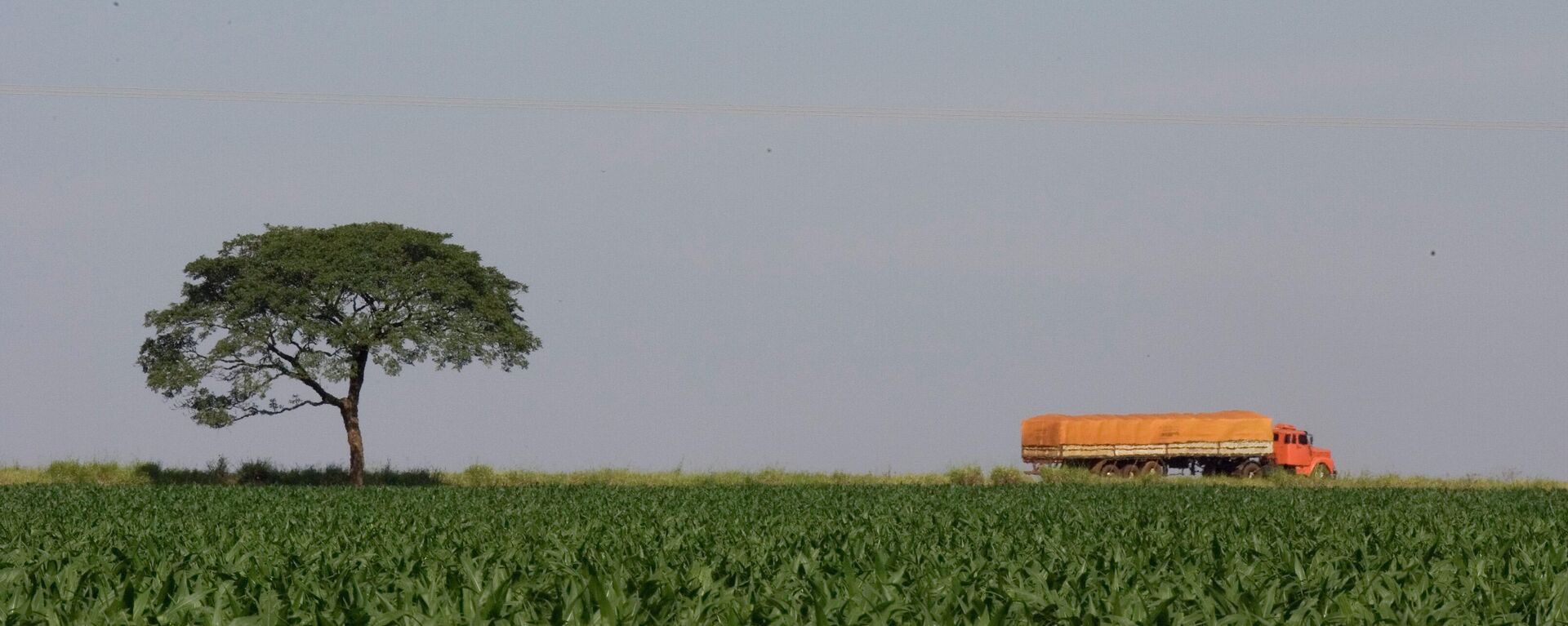 Caminhão de soja no Mato Grosso do Sul, em 18 de março de 2009. - Sputnik Brasil, 1920, 27.12.2022