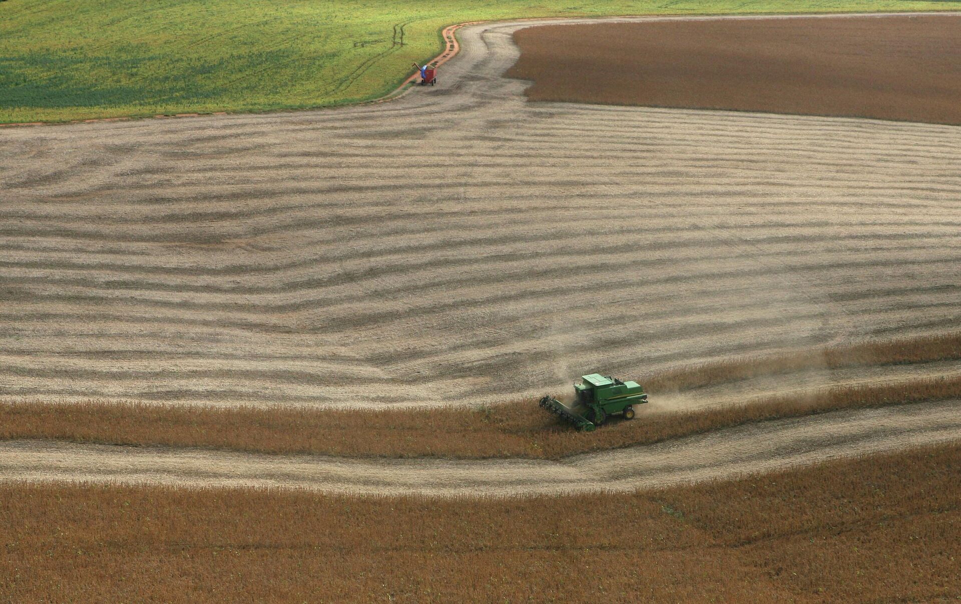 Campo de soja no Paraná, em 3 de março de 2007.