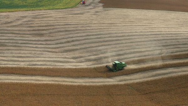 Campo de soja no Paraná, em 3 de março de 2007. - Sputnik Brasil