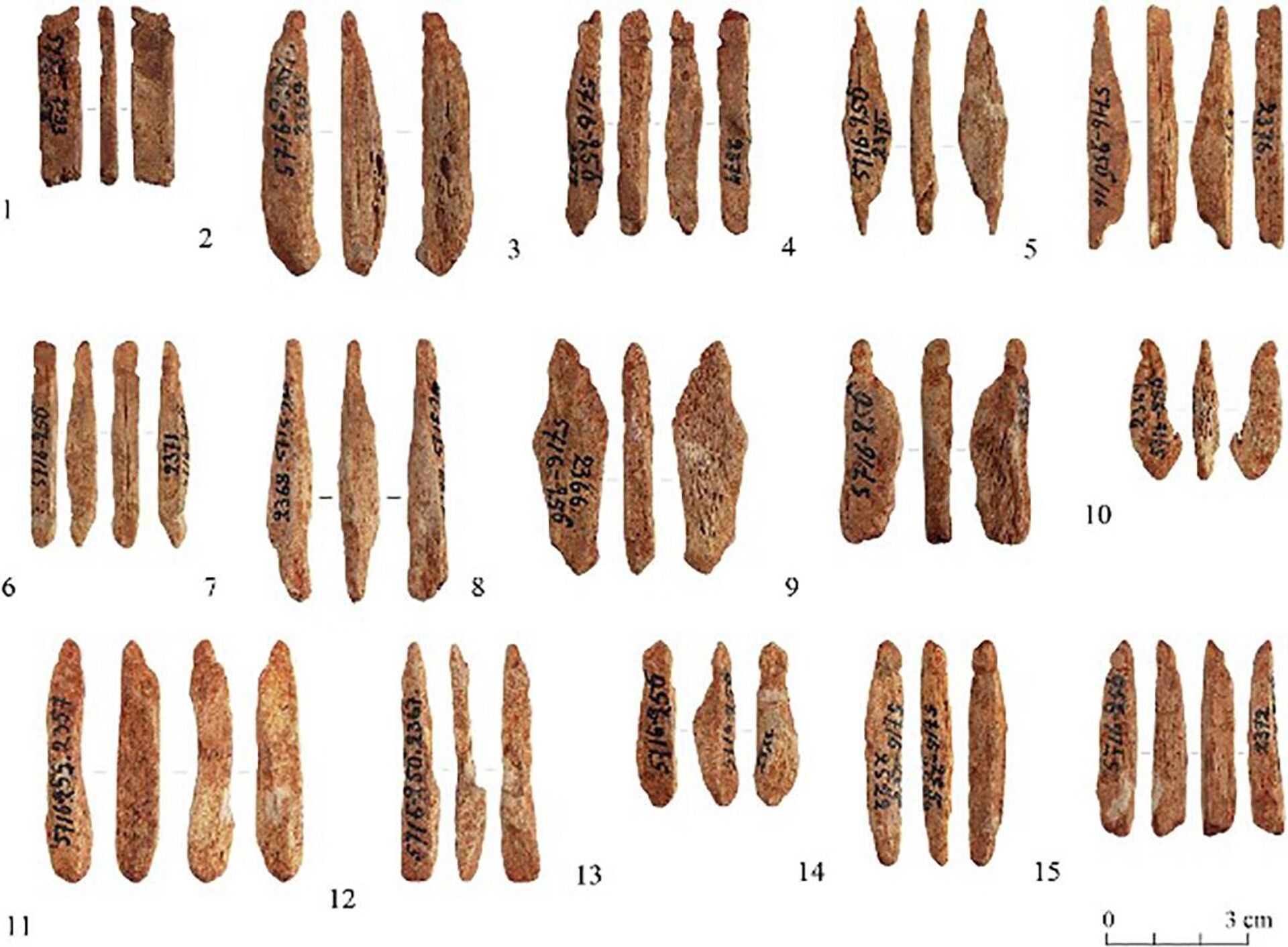 Pingentes de ossos de mais de 8.000 anos encontrados na Carélia, Rússia - Sputnik Brasil, 1920, 23.05.2022