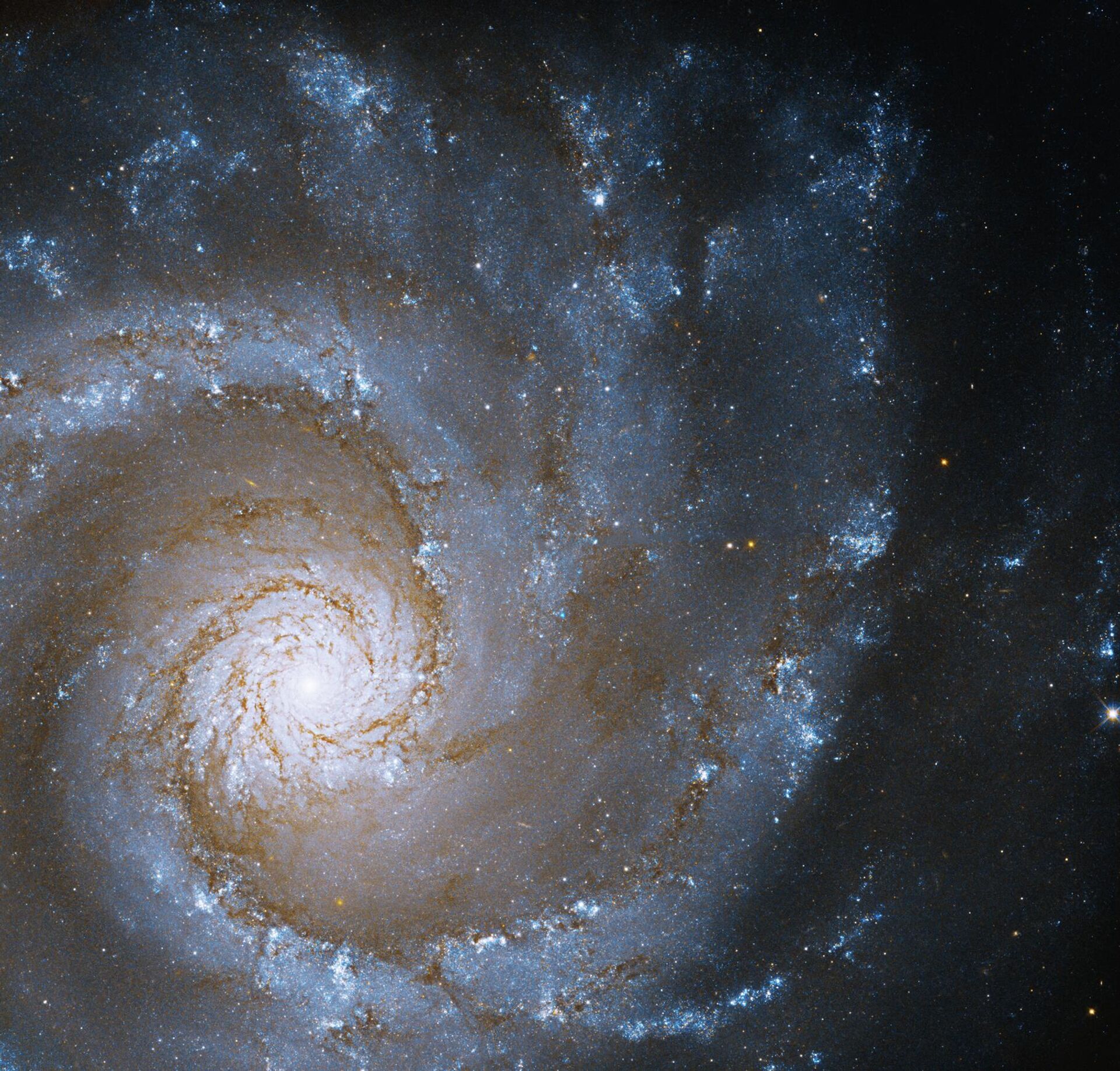 O Telescópio Espacial Hubble flagrou a grandiosa galáxia espiral NGC 3631, localizada a aproximadamente 53 milhões de anos-luz da Terra, na constelação da Ursa Maior - Sputnik Brasil, 1920, 30.05.2022
