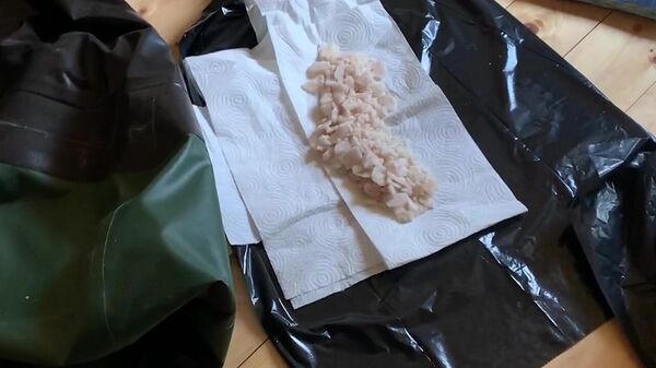 Carga de mefedrona de aproximadamente 9,3 quilos é descoberta em laboratório de produção de drogas sintéticas clandestino por membros do Serviço Federal e Segurança (FSB, na sigla em russo) da Rússia na região de Vladimir durante operação antidrogas - Sputnik Brasil