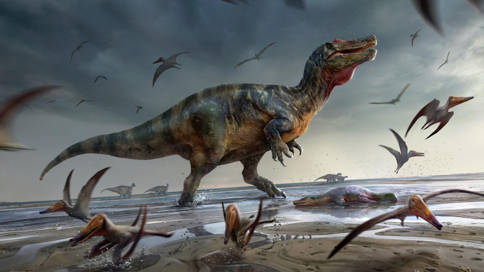 Representação artística de um dinossauro da família dos espinossaurídeos, descoberto na Ilha de Wight, considerado maior predador terrestre da Europa Representação artística de um dinossauro da família dos espinossaurídeos, descoberto na Ilha de Wight, considerado maior predador terrestre da Europa - Sputnik Brasil, 1920, 27.03.2025