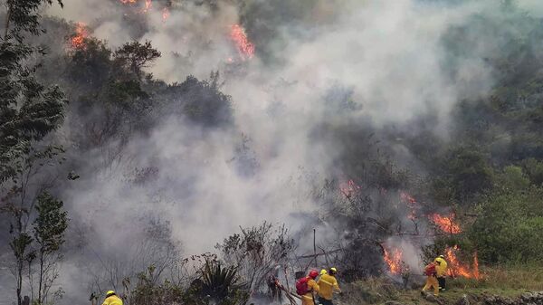 Bombeiros combatem o incêndio florestal em Machu Picchu - Sputnik Brasil