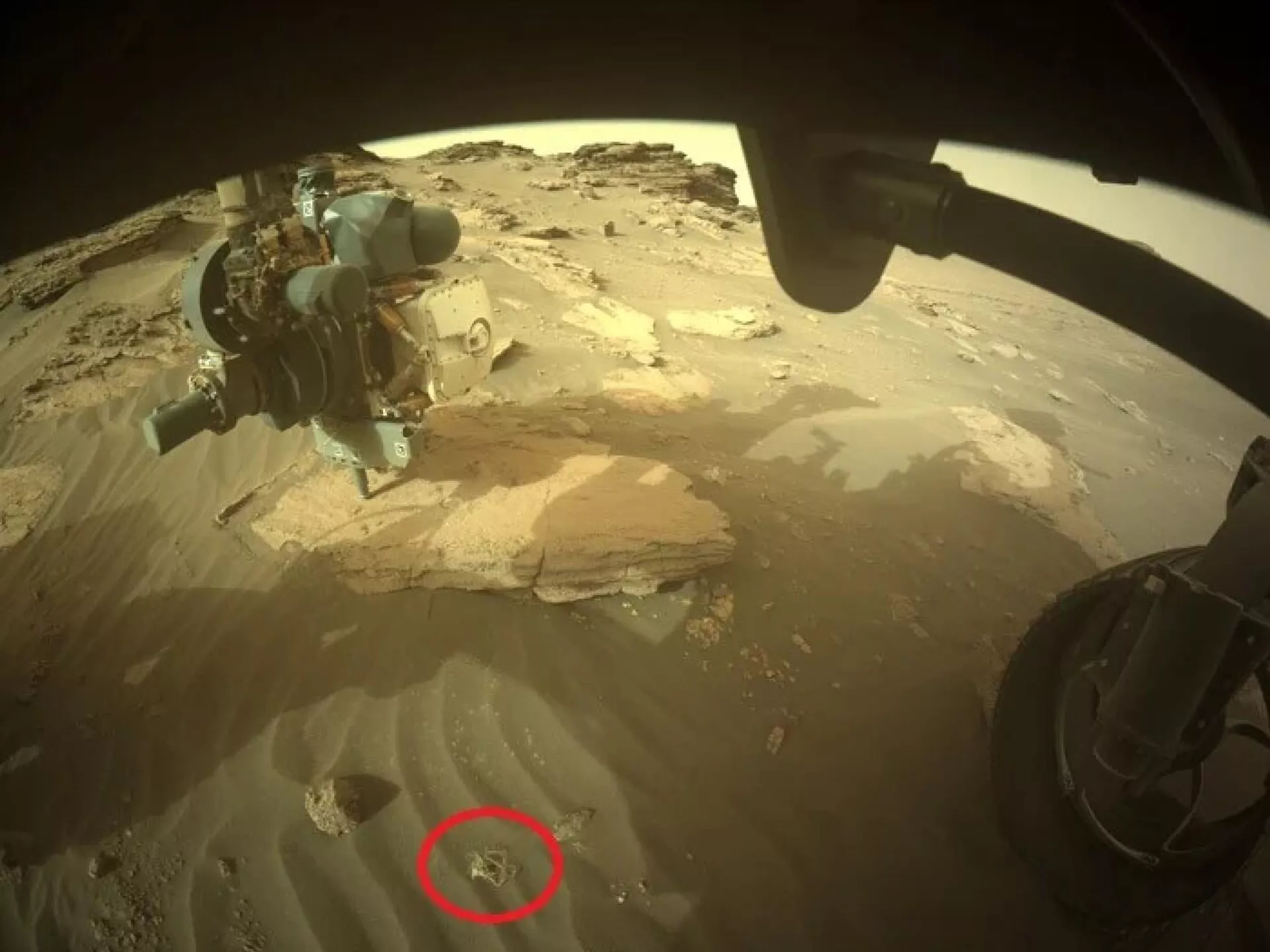 Imagem do rover Perseverance da NASA registra estranho objeto emaranhado, 12 de julho de 2022 Imagem do rover Perseverance da NASA registra estranho objeto emaranhado, 12 de julho de 2022 - Sputnik Brasil, 1920, 19.07.2022