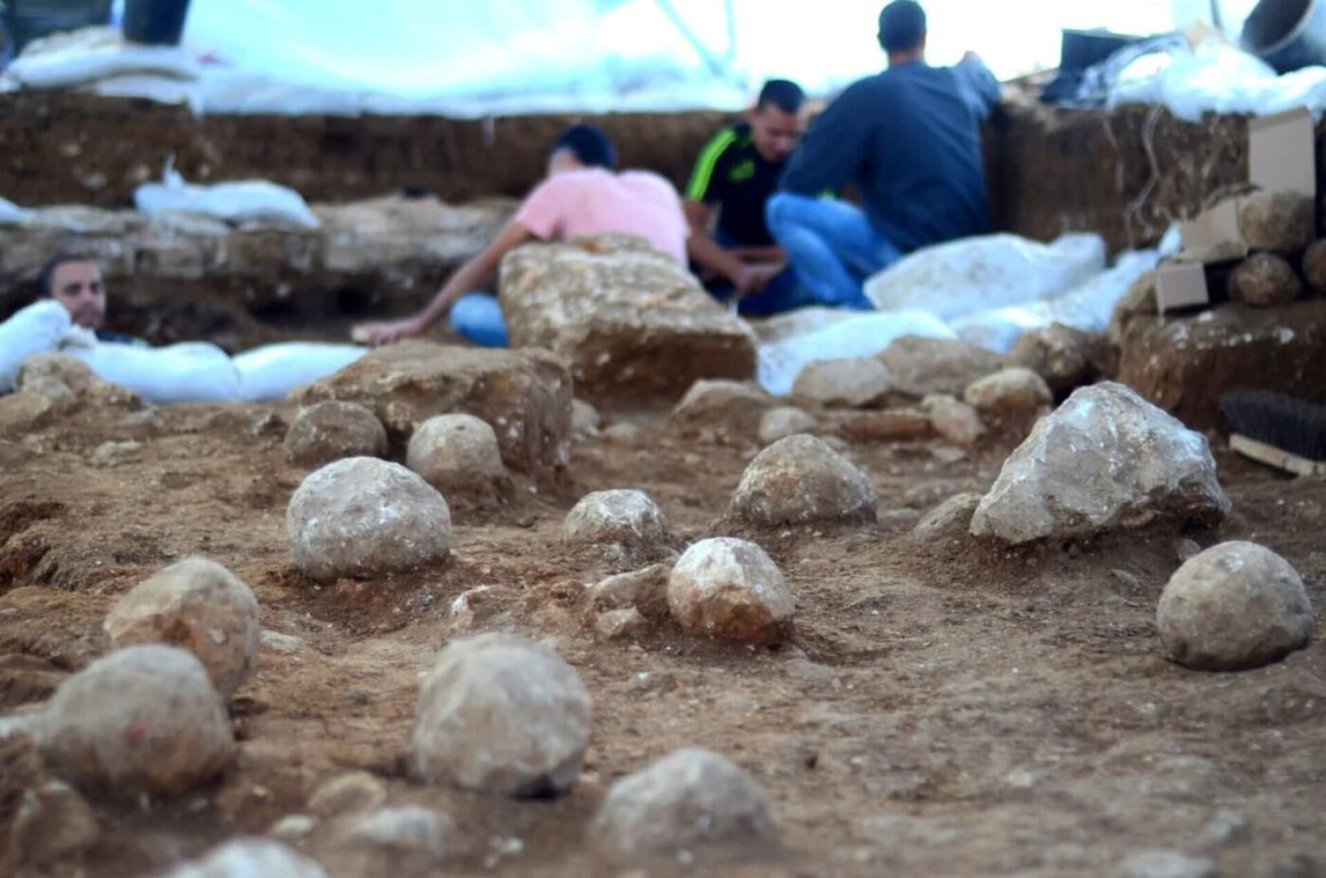As balistas, grandes máquinas de guerra da antiguidade, que lançavam dardos pesados ou grandes pedras, eram inicialmente usadas pelos gregos e, posteriormente, pelos romanos, que adaptaram a arma de artilharia às suas capacidades militares As balistas, grandes máquinas de guerra da antiguidade, que lançavam dardos pesados ou grandes pedras, eram inicialmente usadas pelos gregos e, posteriormente, pelos romanos, que adaptaram a arma de artilharia às suas capacidades militares - Sputnik Brasil, 1920, 08.08.2022