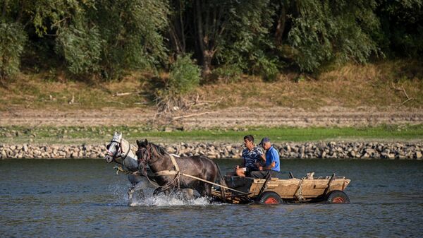 Moradores dirigem carroça puxada a cavalo nas águas de baixo nível pelo Danúbio  na vila de Oltina, sul da Romênia, em 11 de agosto de 2022 - Sputnik Brasil
