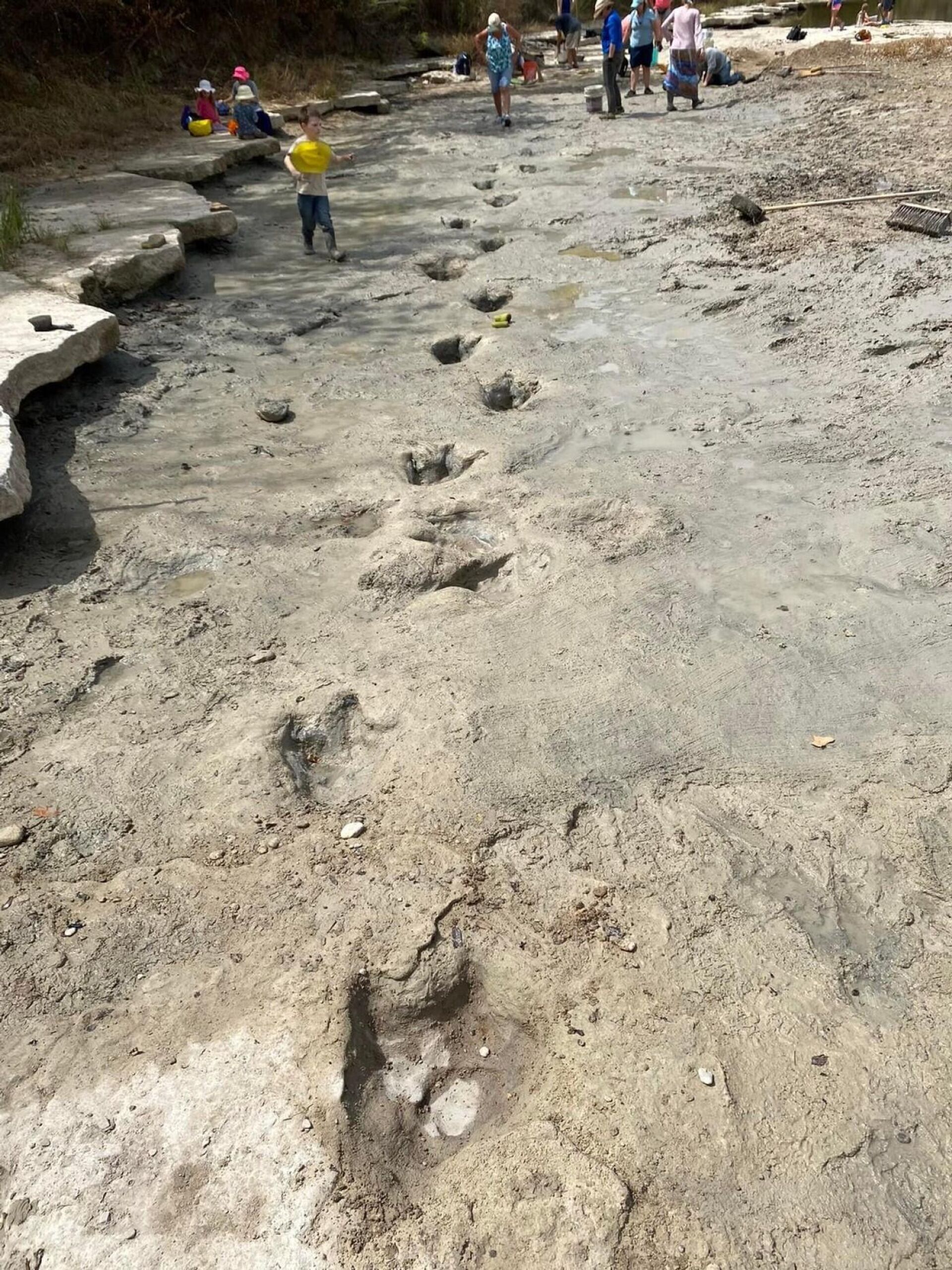 Estudos realizados no sítio paleontológico indicam que as pegadas podem ser das classes de dinossauros saurópodes e terópodes, que normalmente são difíceis de detectar, pois estão cobertas por lodo e águas do rio Paluxy - Sputnik Brasil, 1920, 22.08.2022