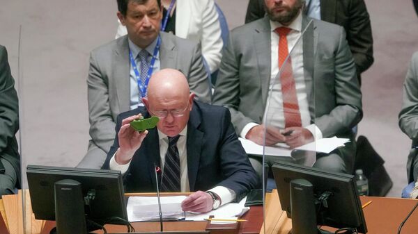 Embaixador russo para as Nações Unidas Vasily Nebenzya segura um pedaço de explosivo durante uma reunião do Conselho de Segurança - Sputnik Brasil
