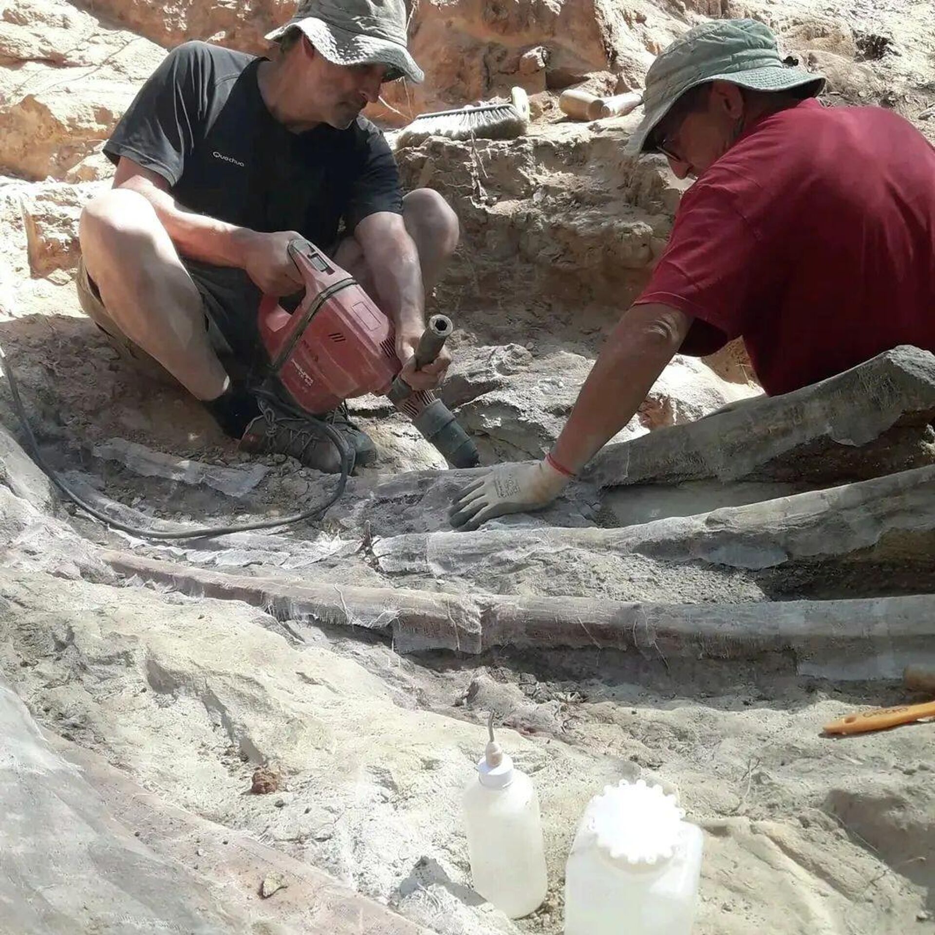Paleontólogos portugueses e espanhóis escavando um possível saurópode braquiossaurídeo em Monte Agudo, Lisboa, Portugal - Sputnik Brasil, 1920, 27.08.2022
