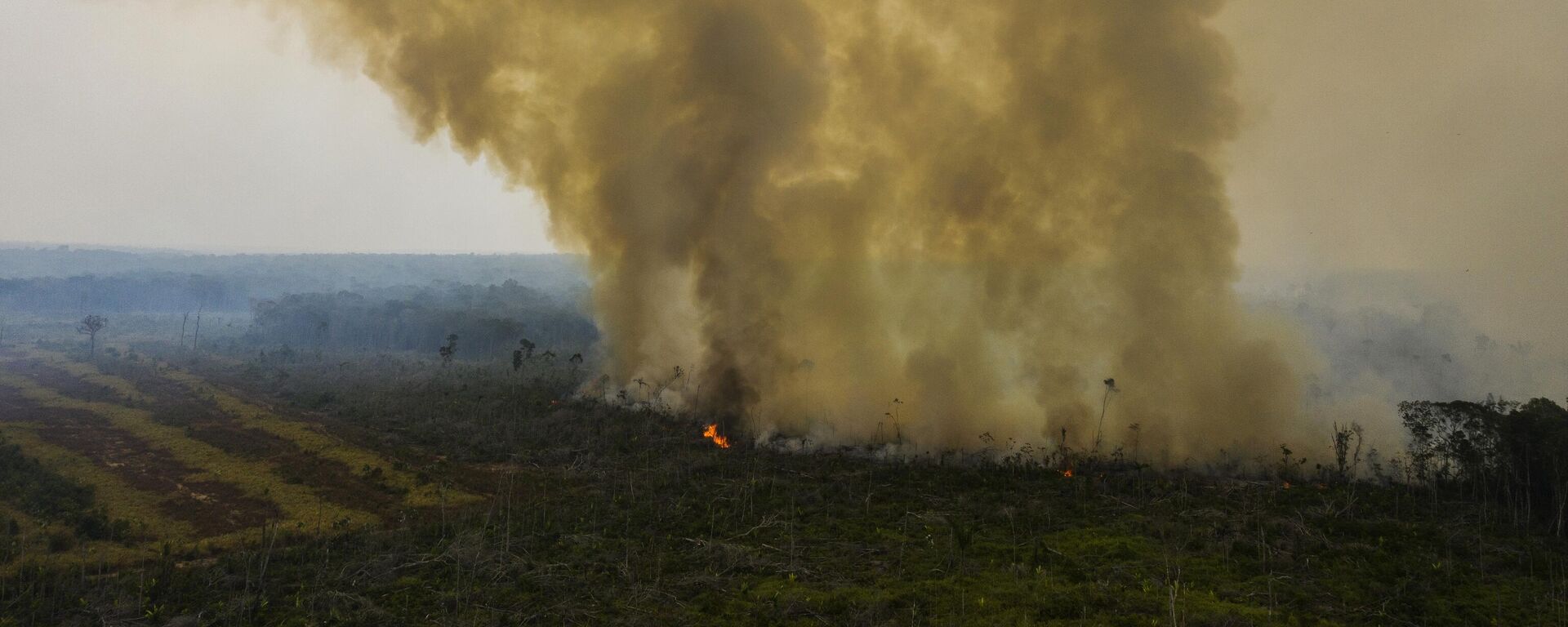 Queimada em área desmatada no município de Humaitá, no sul do Amazonas, em 20 de agosto de 2020 - Sputnik Brasil, 1920, 06.09.2022