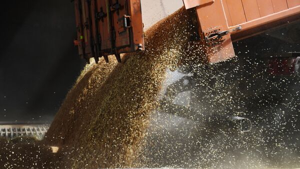 Um caminhão descarrega grãos na Ucrânia - Sputnik Brasil